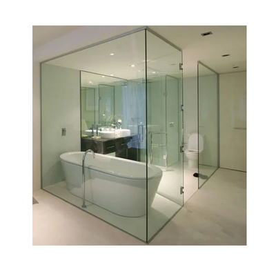 As The Customer prime Thickness Frameless Design 600mm Swing Shower Door with Clear Glass