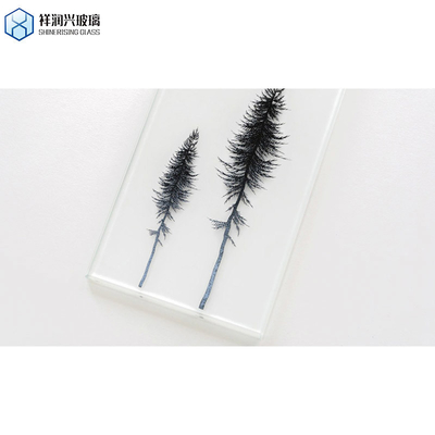 Customized Tinted Tempered Glass with Intricate Pattern Design Meeting GB15763.2-2005