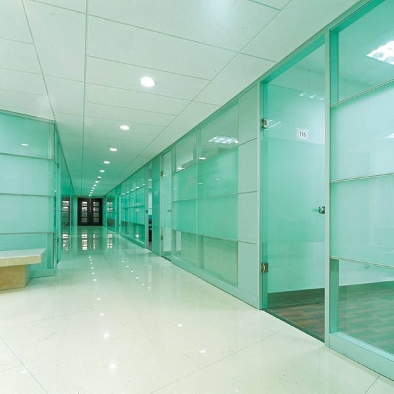 Bronze/Grey/Black/Blue Tempered Glass Door for Shower Room/Commercial/Home Appliance